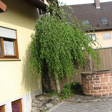Appartement Gaestehaus Koelblin Ringsheim